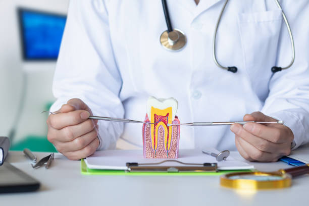 Best Emergency Root Canal Treatment in East Bronson, FL